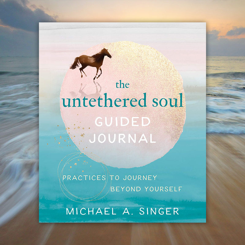 the untethered soul by michael