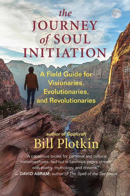 The Journey of Soul Initiation Book Cover