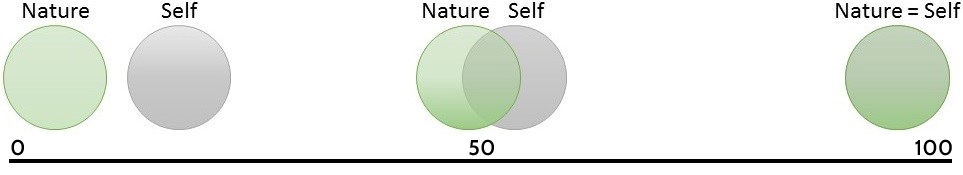 IDL Self-Nature Scale