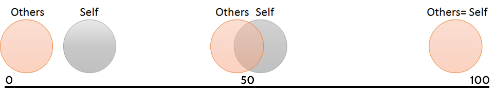 IDL Self-Other Scale