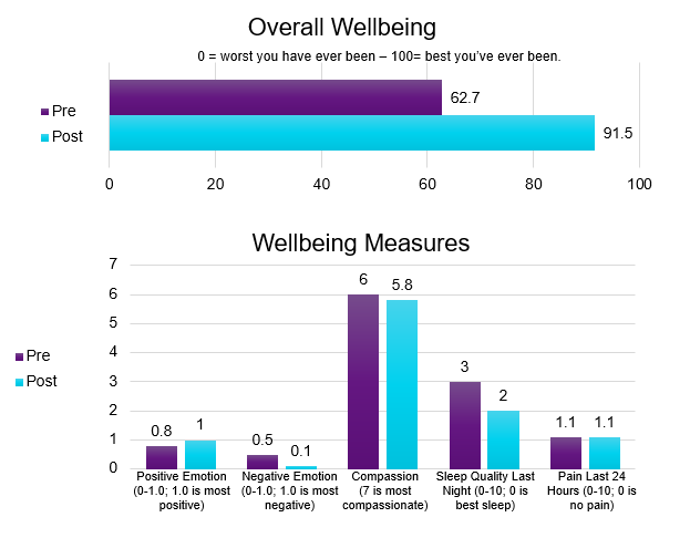 IDL Wellbeing Measures