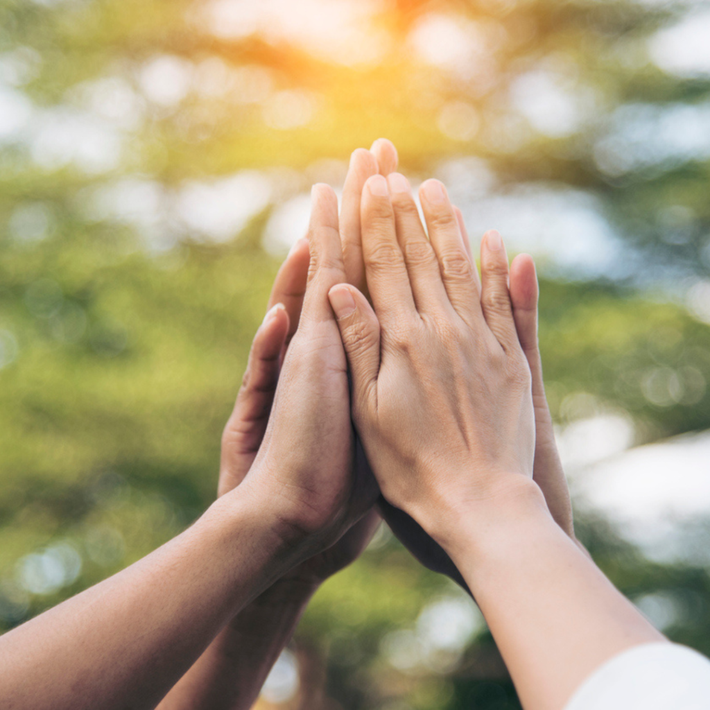 Cultivating Noetic Wisdom for Personal and Collective Good ~ FREE Live Webinar