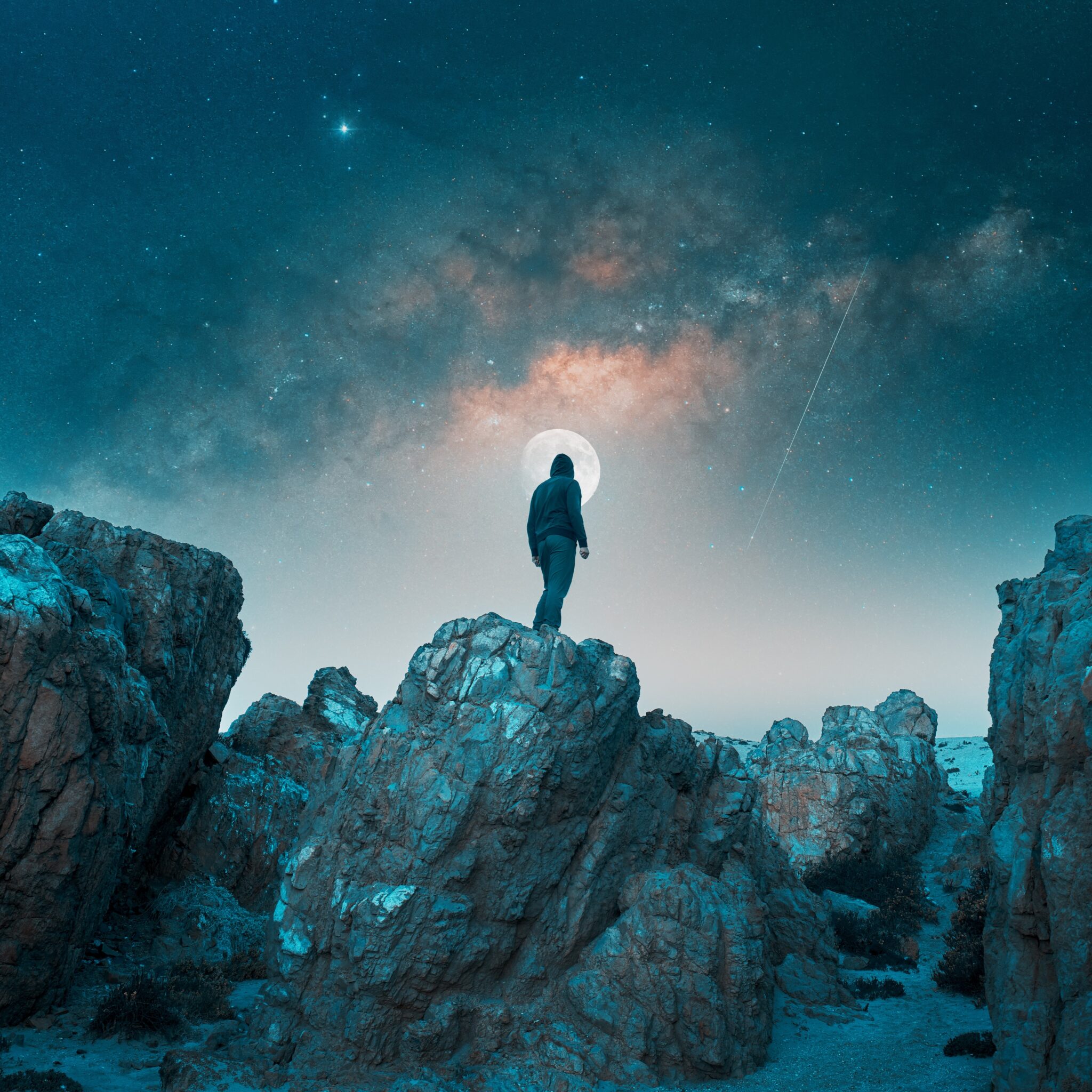 Exploring the Realms of Consciousness - NON REGISTRATION – IONS